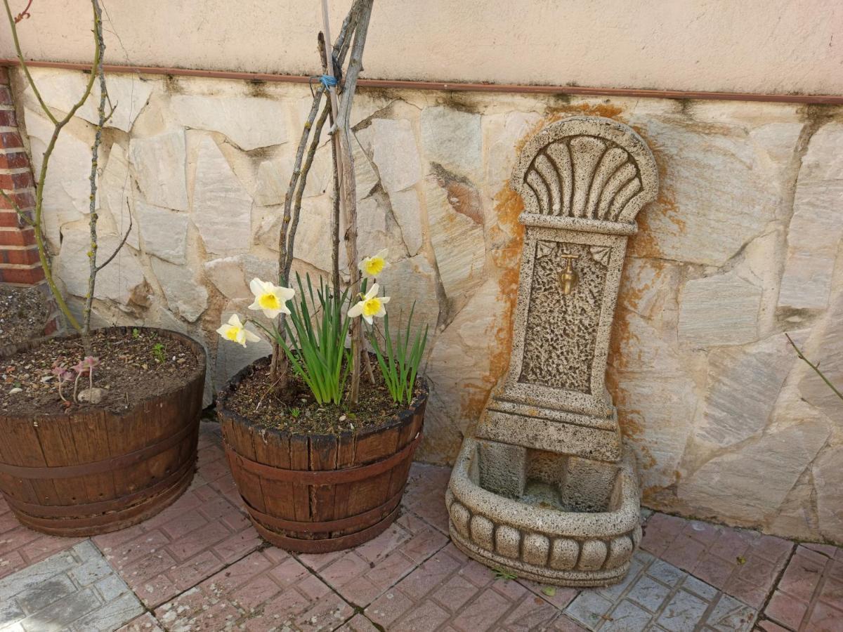 Hotel Rural Fuente Del Val Prádanos de Ojeda Dış mekan fotoğraf